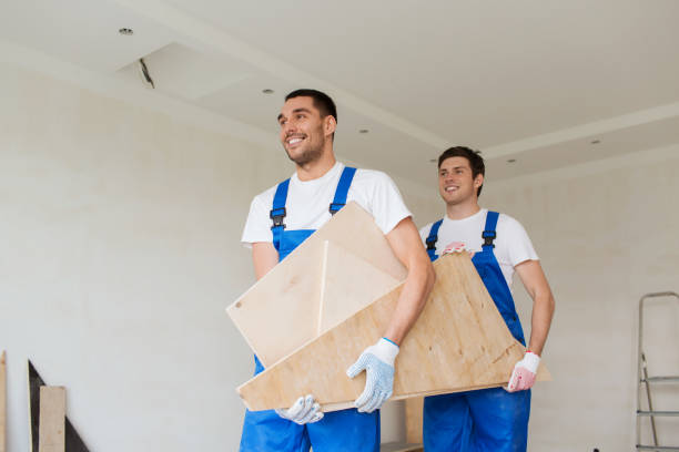 Best Same-Day Junk Removal Services  in Decatur, MI