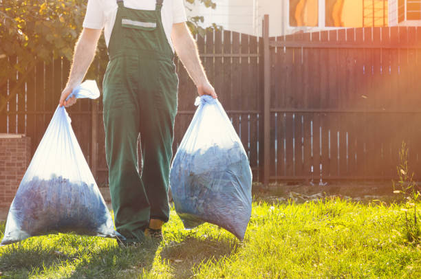 Best Hoarding Cleanup  in Decatur, MI